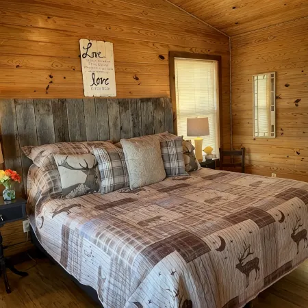 The Overlook Cabin: Breath-taking Views & King Bed