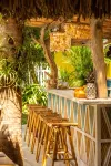 Boardwalk Boutique Hotel Aruba - Adults Only - bar
