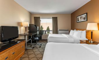 Comfort Inn Corner Brook