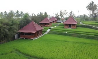 Ubud Sawah Scenery Villa and Homestay