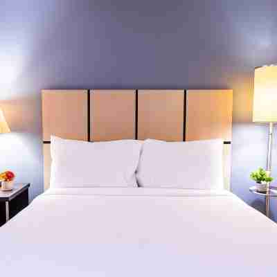 Sonesta Simply Suites Memphis Rooms