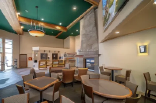 트러키 도너 로지