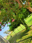 Lavanda House Hotels in Sandrigo