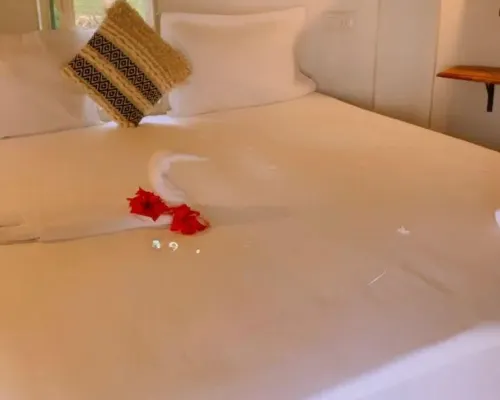 Inti Hostel Pushkar โรงแรมในปุชการ์