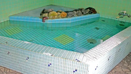 Minshuku Suimeiso <Yakushima> Отели рядом с достопримечательностью «Shiratani Unsuikyo»