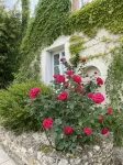 Villa Cassandre Hotel di Azay-sur-Indre