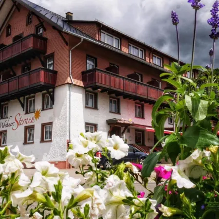Wochner's Hotel-Sternen am Schluchsee Hochschwarzwald