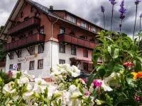 Wochner's Hotel-Sternen am Schluchsee Hochschwarzwald Hotels in Schluchsee