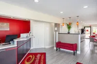 이코노 로지 크레스트뷰