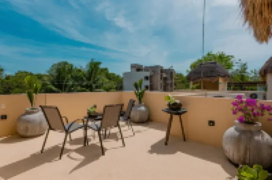 Alma de Zorro Hotels in Bacalar Municipality