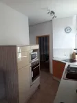 Apartment Woodpecker