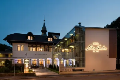 Hotel Sacher Baden Hotels in Bad Voslau
