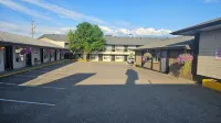 Camelot Court Motel - Motels