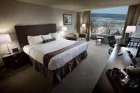 أوكس هوتل أوفرلوكينج ذا فولز
