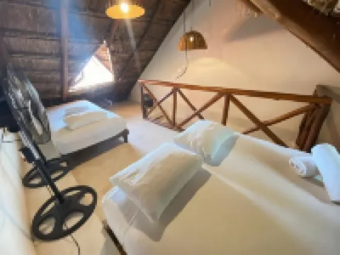 La Constanza de Rulo