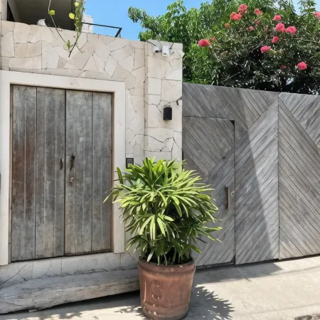 Maison de Reve - Estudios