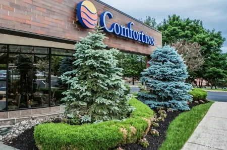 Comfort Inn