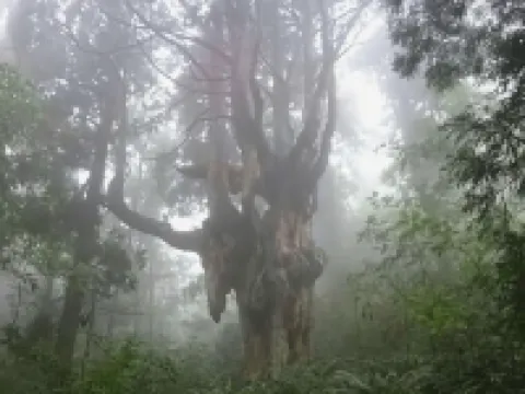 旅館松浜 隠岐の島町のホテル