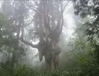 Ryokan Matsuhama Hotel di Oki District