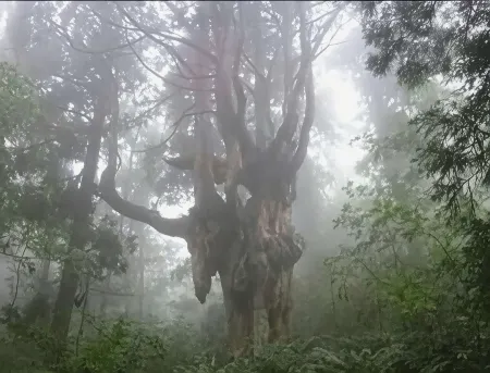 Ryokan Matsuhama Отели рядом с достопримечательностью «Наканосима»