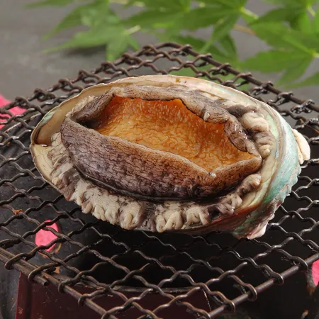 Izu Nagaoka Onsen KKR Izu Nagaoka Chitoseso Отели в г. Идзунокуни