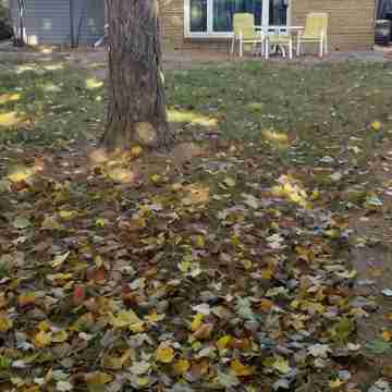 A Peaceful 3 Bedrooms House in a Quiet Neighborhood Others