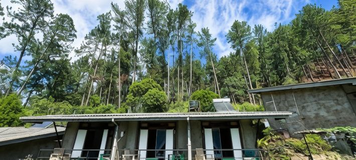 Rowinrich Cottages Hotels in Ella