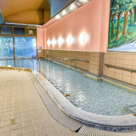 Kamenoi Hotel Aso Park Resort