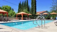 Stylish & Cozy 1BR Retreat Perfect for Work & Travel Prime Location! - Pools