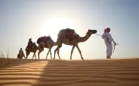 Al Maha, a Luxury Collection Desert Resort & Spa, Dubai