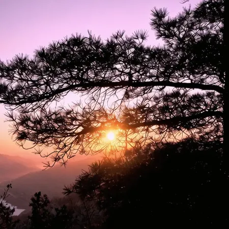 Tangwang Xing'an Stone Forest Hotel