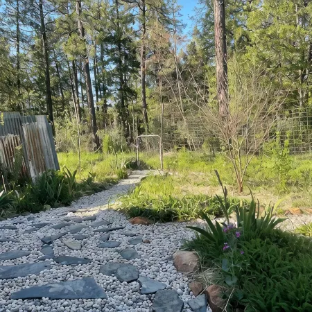 Charming 1-bedroom Cabin in the Forest Nevada City with AC, WiFi
