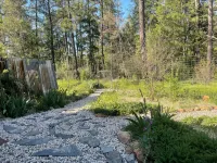 Charming 1-bedroom Cabin in the Forest Nevada City with AC, WiFi - Hytter