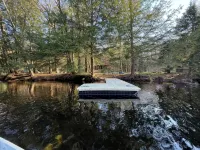 Luxury Muskoka River Log Cabin - Homestays