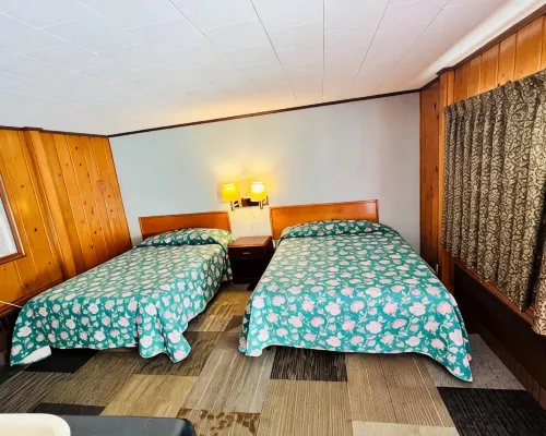 Sun N Snow Hotel Hotels in Cadillac