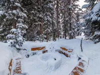 Cabin 5min to Solitude/Brighton 45-60min to Alta/Snowbird/ParkCity/DeerValley - Hytter