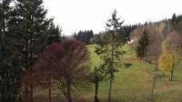 Time out from everyday life in the Bavarian Forest with pool, sauna and perfect facilities - Pools