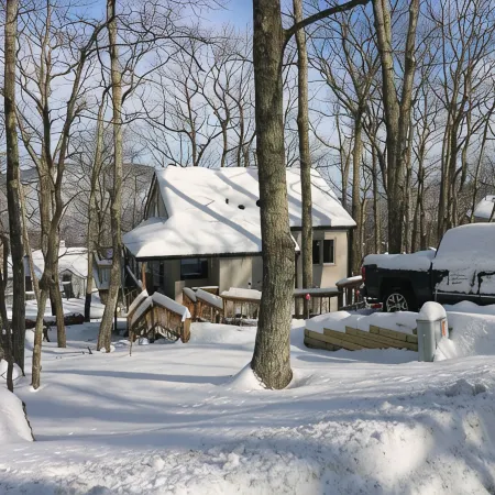 Remodeled 3BR/2BA Ski Chalet off Tyro Slope