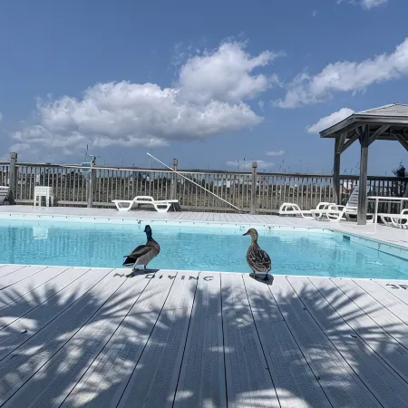 Carolina Marsh Hideaway