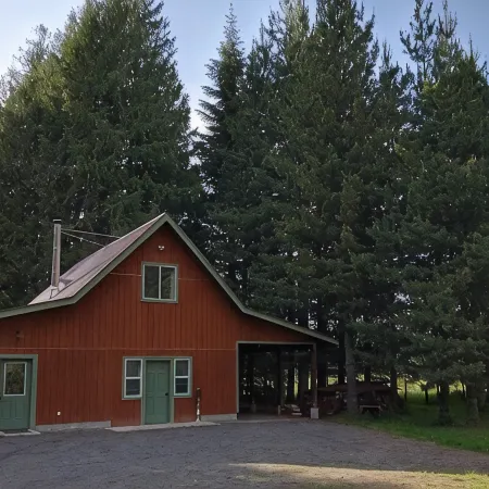 Little house in the woods, close to the lake,town and mountain.