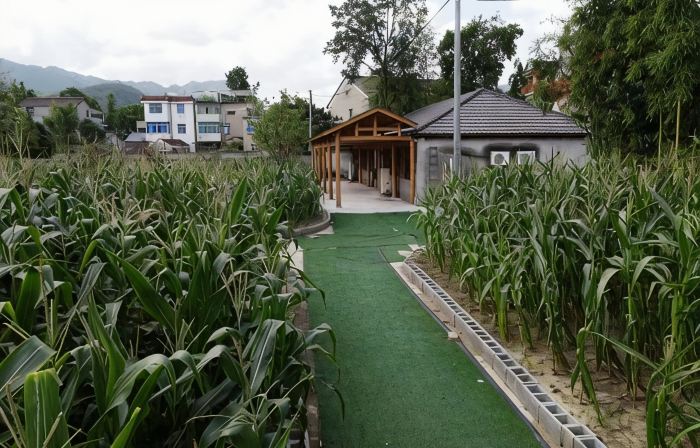 Louqin Daye Homestay (Yaolin Fairyland)