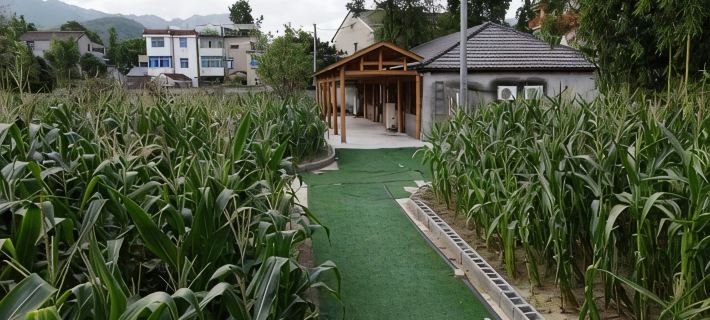 Louqin Daye Homestay (Yaolin Fairyland) Hotels in Tonglu