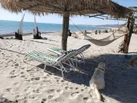 Wonderful Beach house on the Sea of Cortez