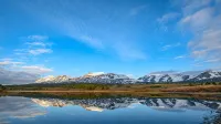 BEAR TRACK HIDEAWAY Sleeps 4 - Just 10 minutes from Glacier National Park - アパートメント
