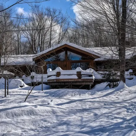 Luxury Cabin with Indoor Heated SaltWater Pool! Отели в г. Уэбб