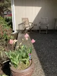 Seabeck/Bremerton 1 Bedroom all your own in furnished house; enjoy trails/lakes. - Kuntosalit