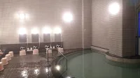 Mount View Hotel - avec sources thermales