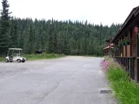 White Moose Lodge Hotels in Denali Borough