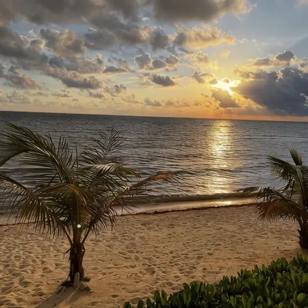 The Harvey Nicole: Modern Caribbean Ocean Front Condo Grand Cayman.