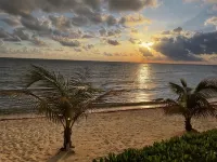 The Harvey Nicole: Modern Caribbean Ocean Front Condo Grand Cayman.